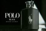 Polo Black - Handome Fellow